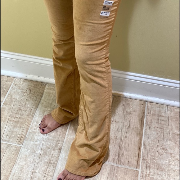 Mustard Levi Corduroy Pants - Picture 2 of 6